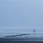 Connection Through Life’s Ups and Downs