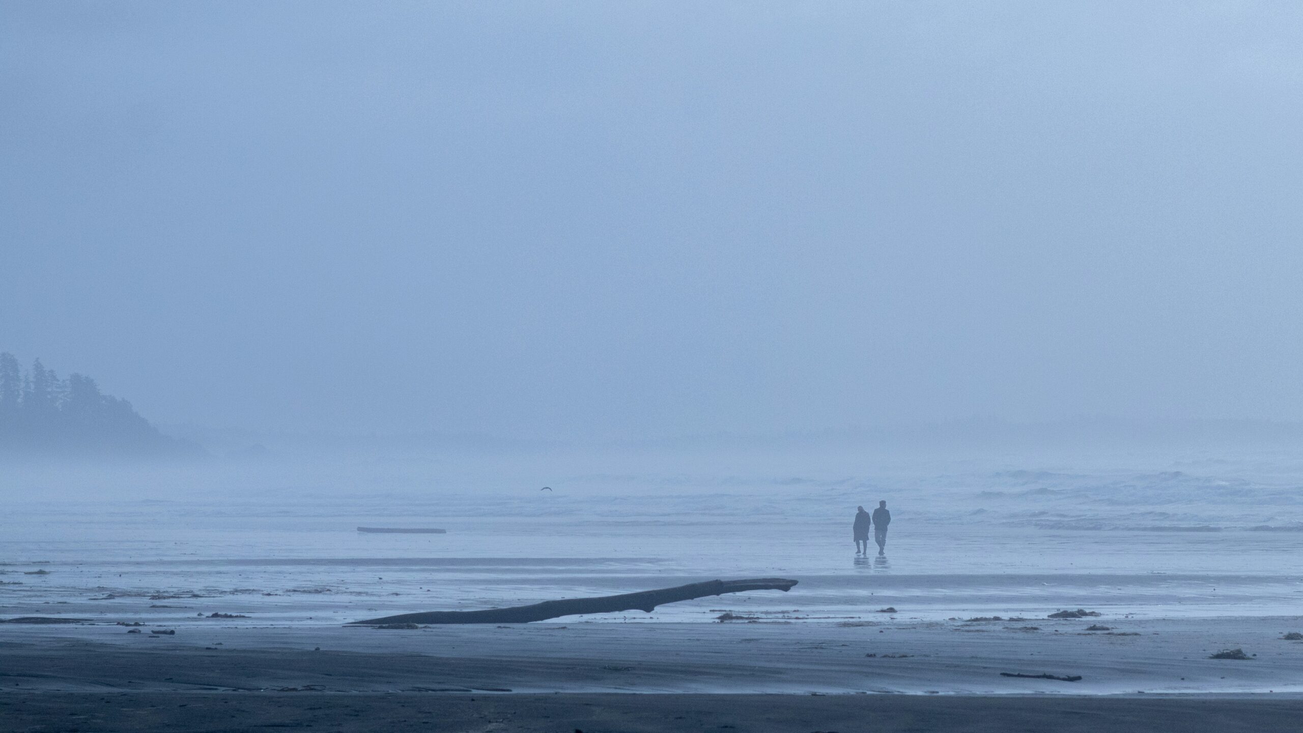 micah-mckerlich-R1aMppVvSuc-unsplash